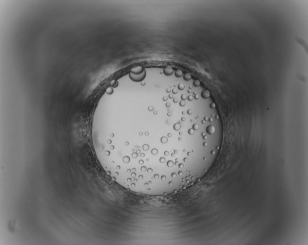 X0000102531255200808081045