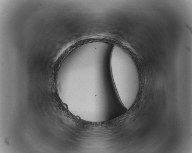 X0000102531256200808081044