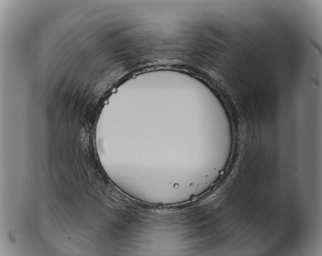X0000102531257200808081044