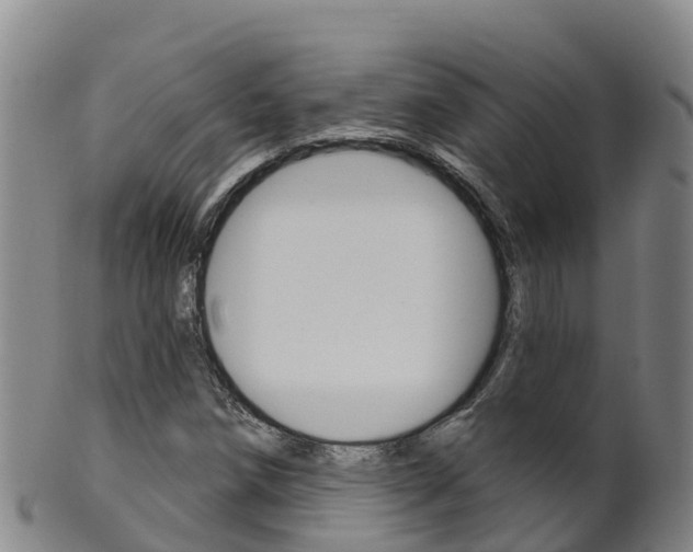 X0000102531258200808081044