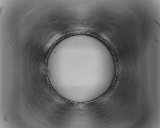 X0000102531259200808081044