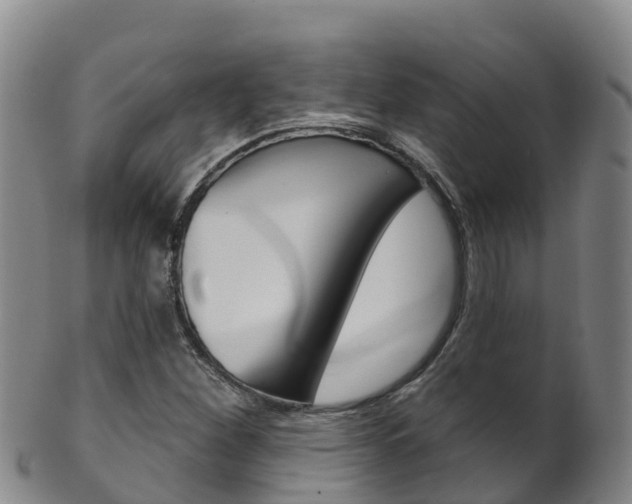 X0000102531260200808081044