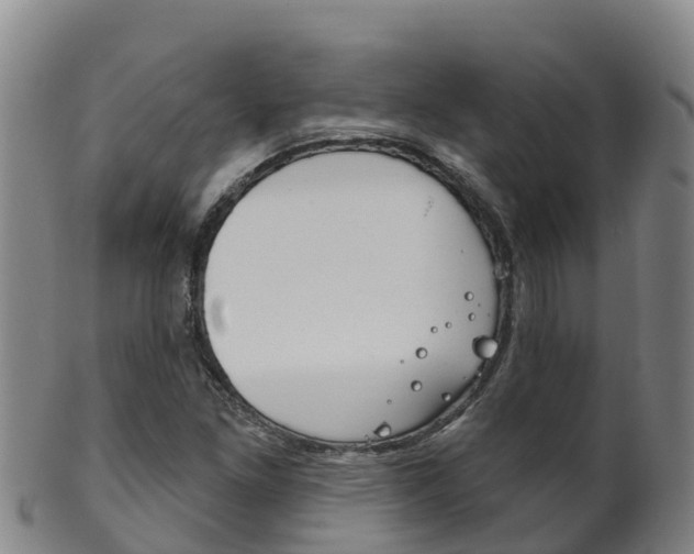 X0000102531261200808081044