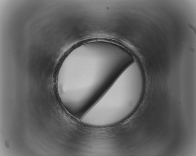 X0000102531264200808081044