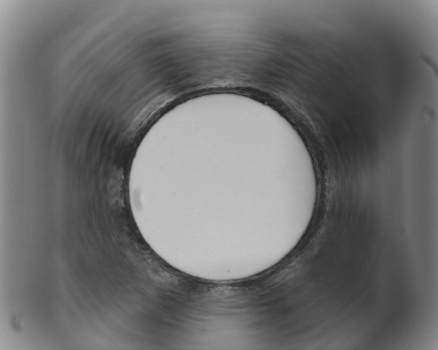 X0000102531265200808081044