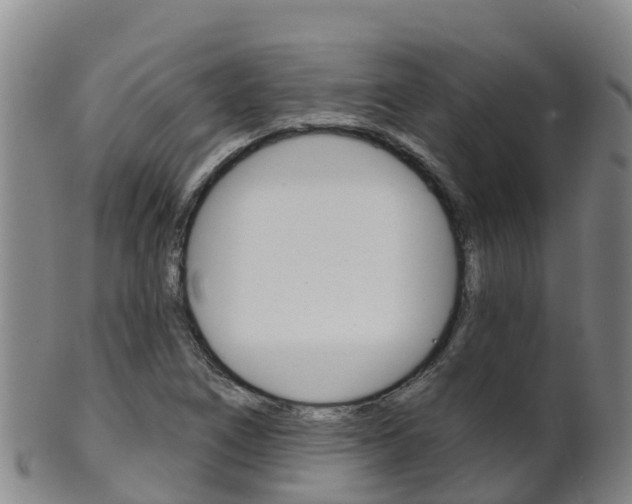 X0000102531266200808081044