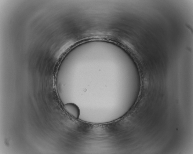 X0000102531267200808081044