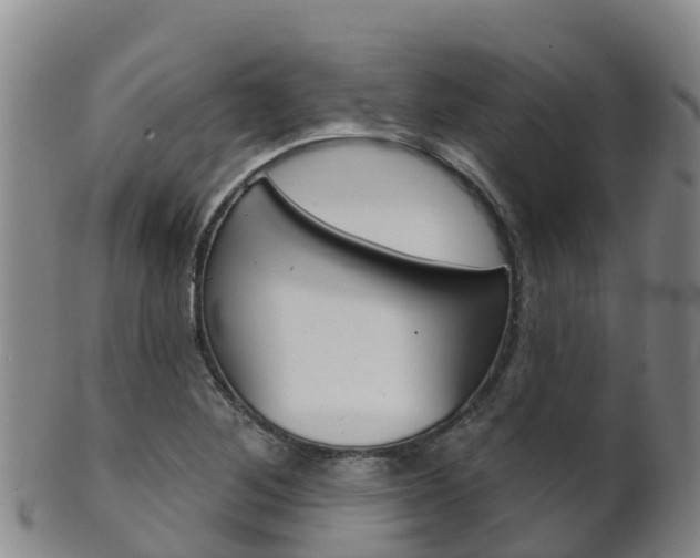 X0000102531268200808081044