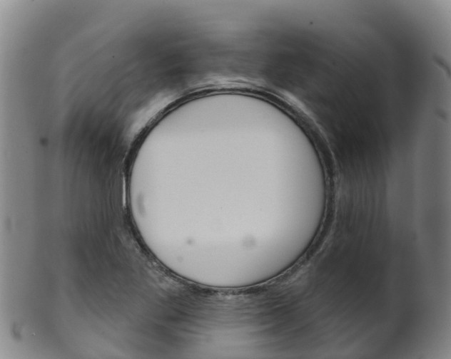 X0000102531269200808081044