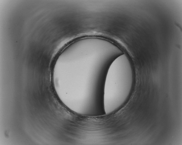 X0000102531270200808081044