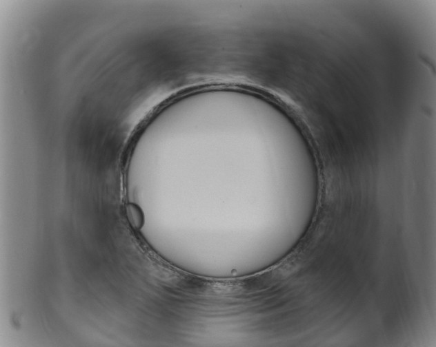 X0000102531271200808081044