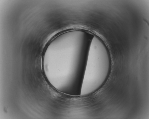 X0000102531272200808081044