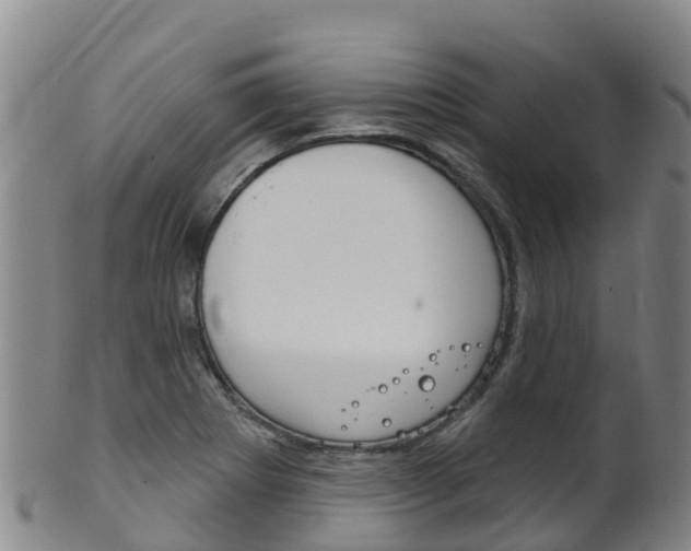 X0000102531273200808081044