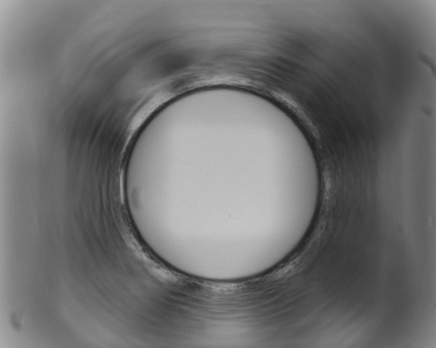 X0000102531274200808081044