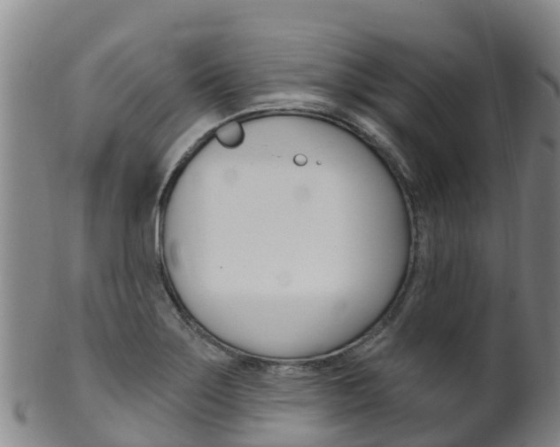 X0000102531275200808081044