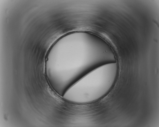 X0000102531276200808081044