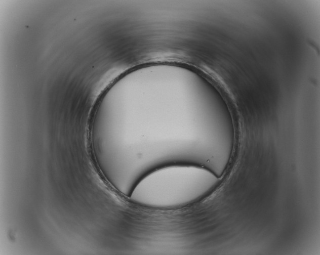 X0000102531277200808081044