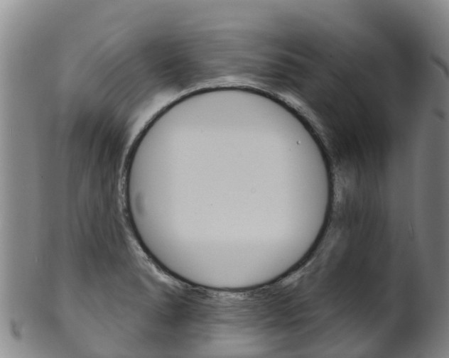 X0000102531278200808081044