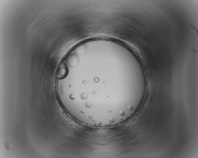 X0000102531279200808081044