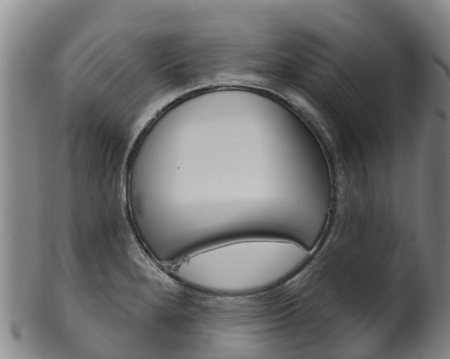 X0000102531280200808081044
