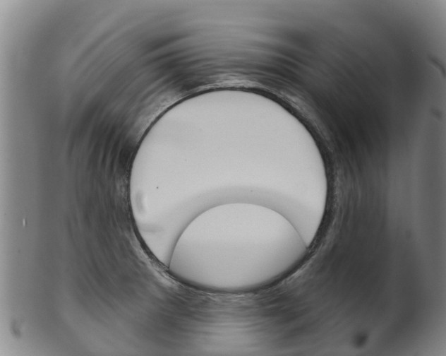 X0000102531281200808081044