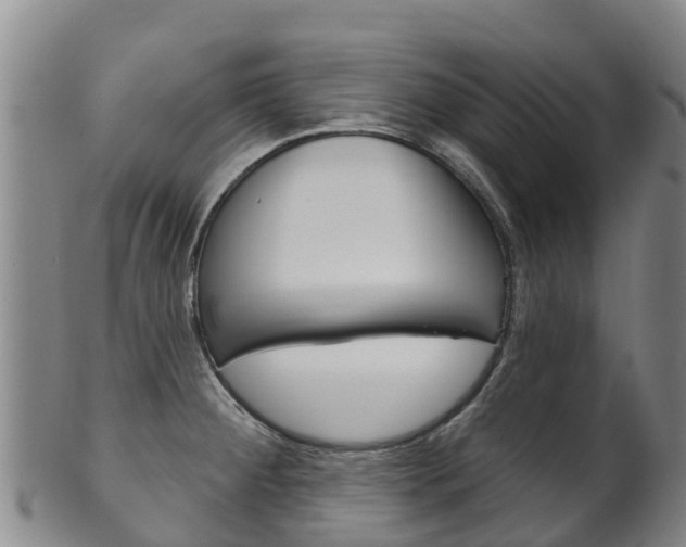 X0000102531284200808081044