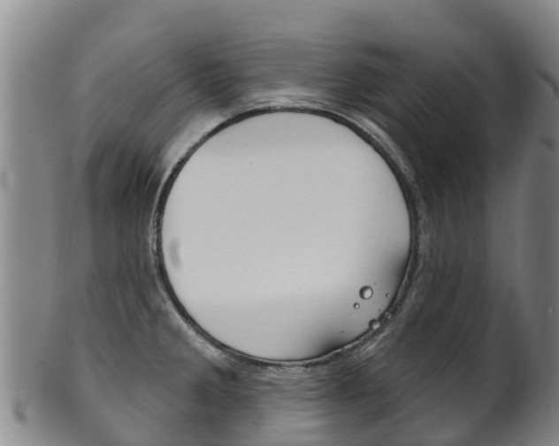 X0000102531285200808081044