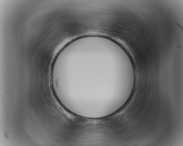 X0000102531286200808081044