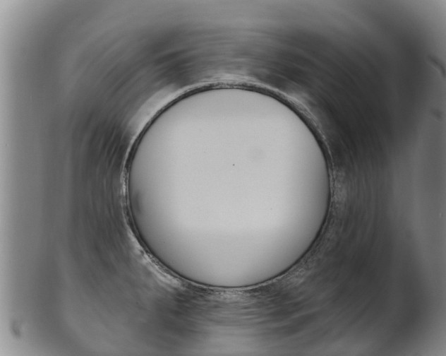 X0000102531287200808081044