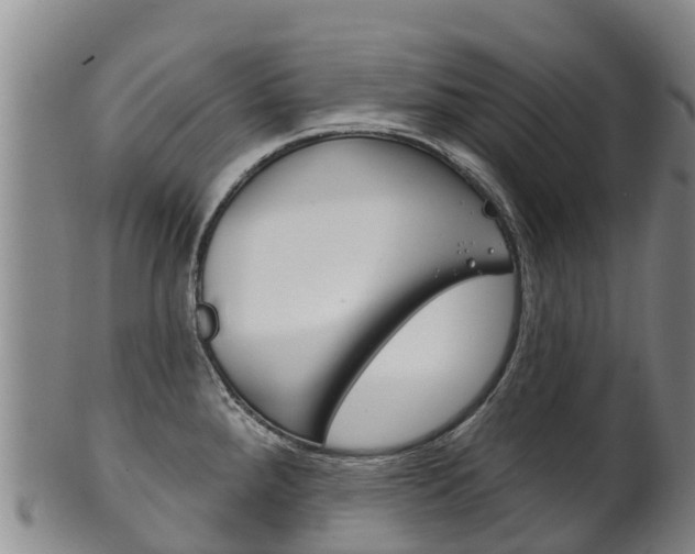 X0000102531288200808081044