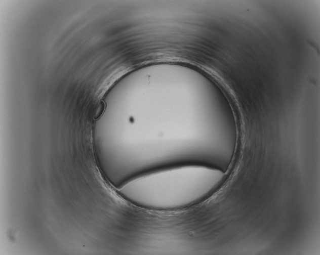 X0000102531289200808081044