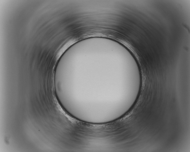 X0000102531290200808081044