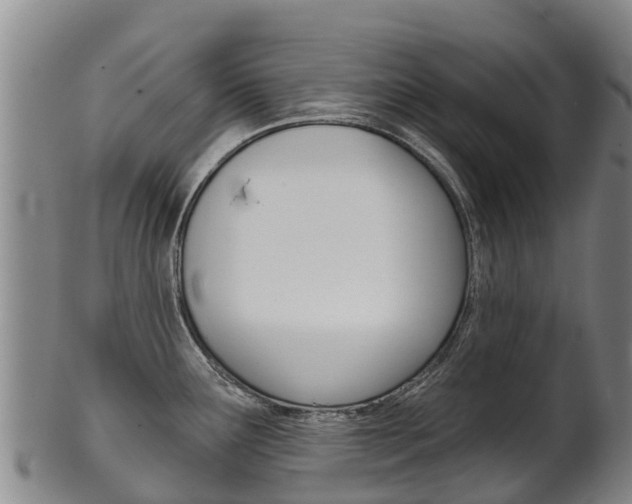 X0000102531291200808081044