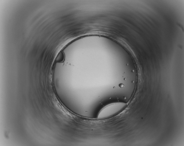 X0000102531292200808081044