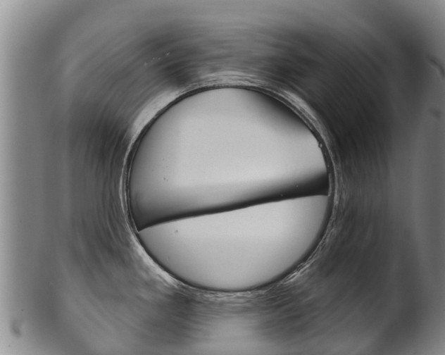 X0000102531293200808081044