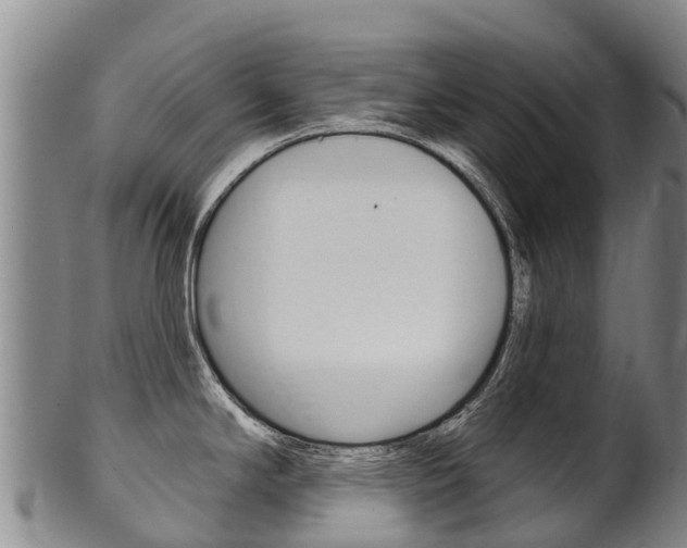 X0000102531294200808081044