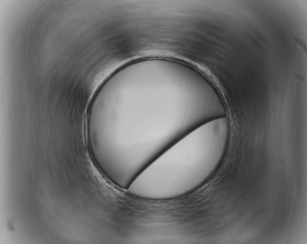 X0000102531295200808081044