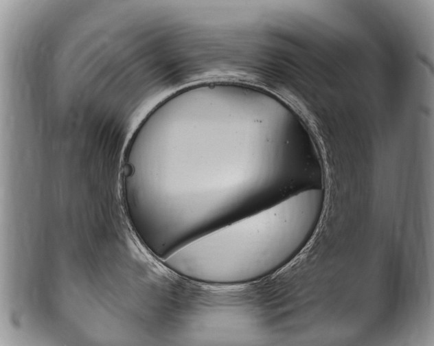 X0000102531296200808081044