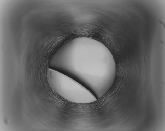 X0000102531297200808081043