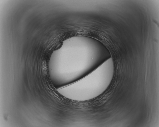 X0000102531298200808081043