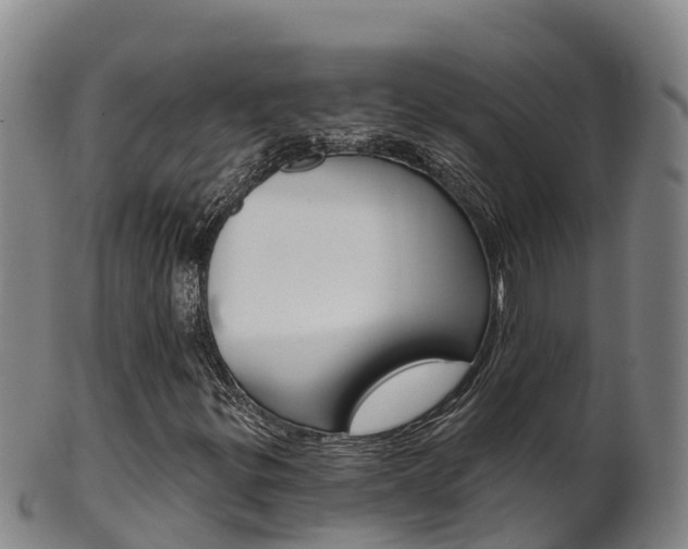 X0000102531299200808081043