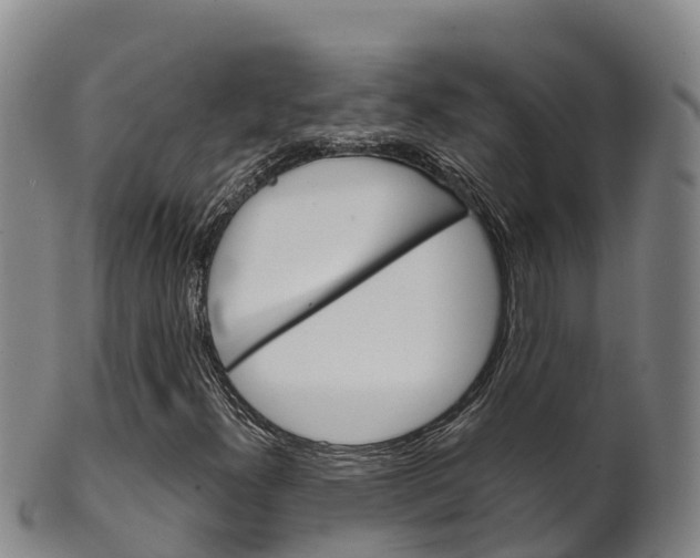 X0000102531300200808081043