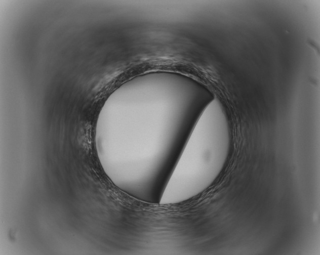 X0000102531301200808081043