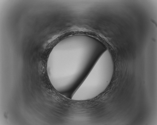 X0000102531303200808081043
