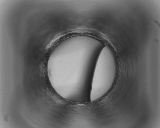 X0000102531304200808081043