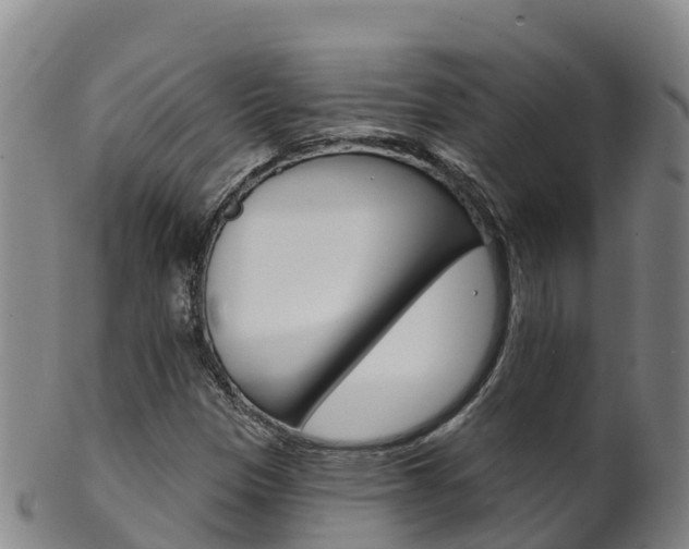 X0000102531305200808081043