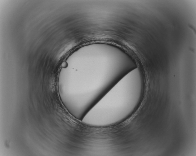 X0000102531306200808081043