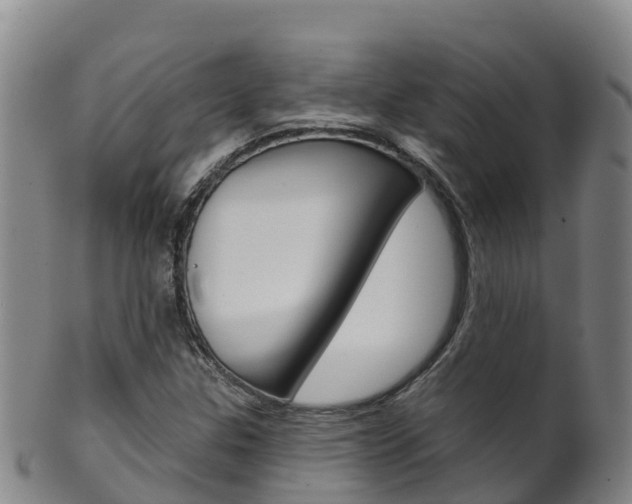 X0000102531307200808081043