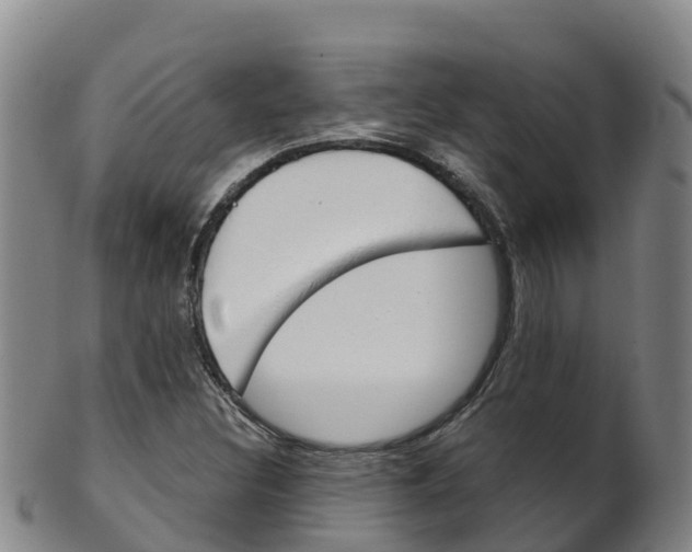 X0000102531308200808081043
