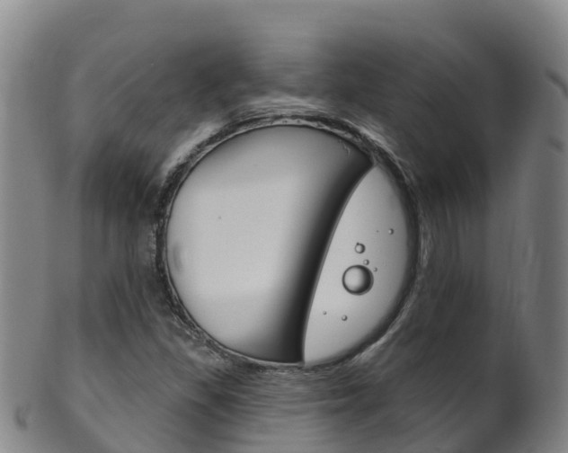 X0000102531309200808081043